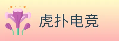 虎扑电竞 logo